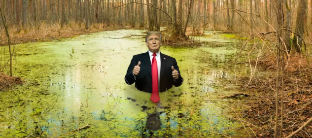 Donald Trump In the Swamp