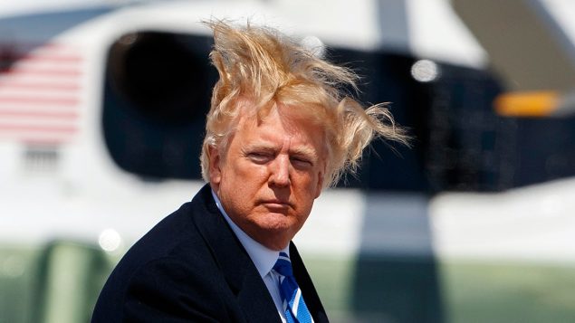 trump-hair